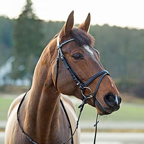 Horze Weston Wedded Leather Horse Snaffle Bridle со блиц нос -лента и веб -уздите