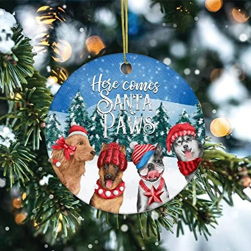 Орнаменти на новогодишни елки Кул кучиња тука доаѓаат Дедо Мраз Божиќни украси за божиќни виси украси украси за домашни украси,