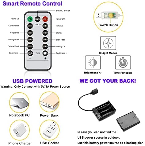 Egoou RV Тема низа светла со далечински управувач и тајмер, USB моќност и батерија управувани со самовила камперски светла за спална