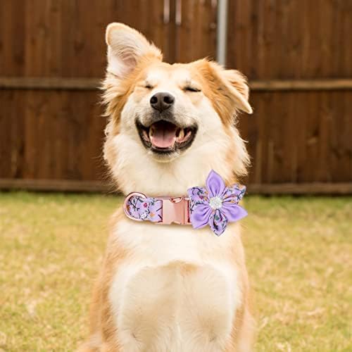 Tdtok Девојче куче јака за мали средни големи кучиња, симпатична јака за кучиња со одвојлив цвет безбедност метална тока прилагодлива