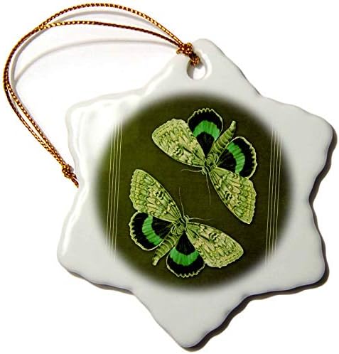 3drose смарагд и вар зелени пеперутки на текстурална позадина на мов. - украси