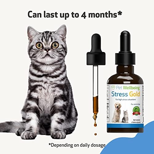 Благосостојба на миленичиња-Стресно Злато За Мачки-Природна Поддршка За Ослободување Од Висок Стрес кај Мачки-2 мл