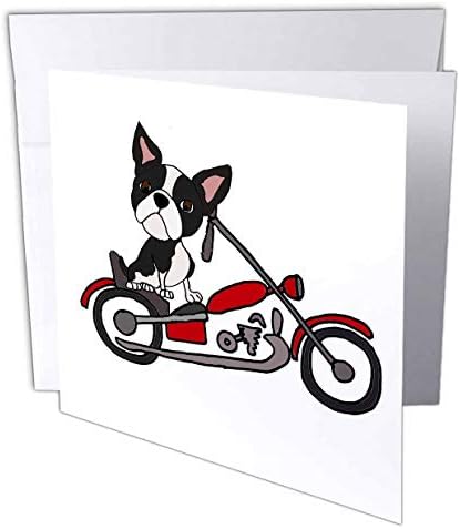 3drose честитка Смешна симпатична Бостон Териер куче возење мотоцикл, 6 x 6 “
