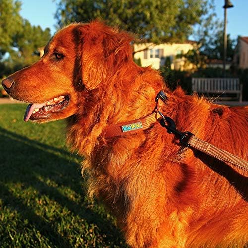 BluePaw - 7 Класични Бои Удобност Премија Најлон Куче Јака Лесно Да Се Исчисти Еднобојна Шема За Одење Обука Кучиња
