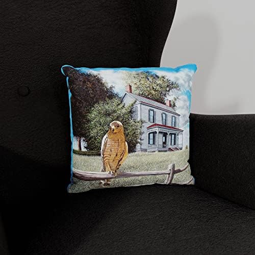 Гардијан на куќата - Хок Фукс Фукс софа на Купер Фукс Фрли перница од цртање и сликарство од уметникот Мајк Бенет 18 „Х 18“.