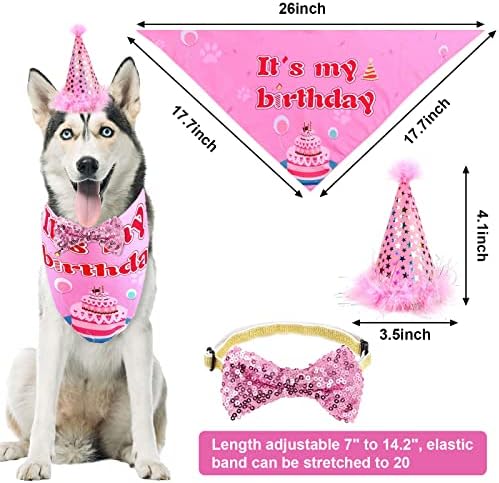 Слики за роденденска забава за кучиња, куче девојче роденденска капа бандана, симпатична кучиња лак, роденденски банер, балони, број картички,