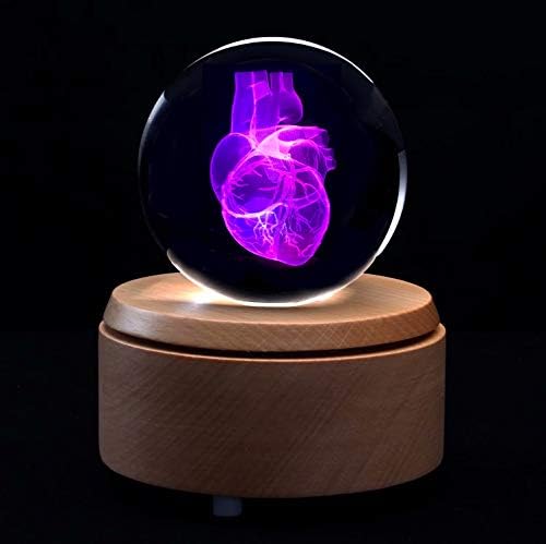 Xindam 3D човечко срце Анатомски модел хартиена тежина во кристално стакло топка наука подарок