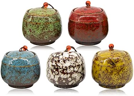 Патскораи мали урни за човечка пепел, сет од 5 декоративни држења за кремирање изработени од керамички, мини урни за возрасни аш, личен