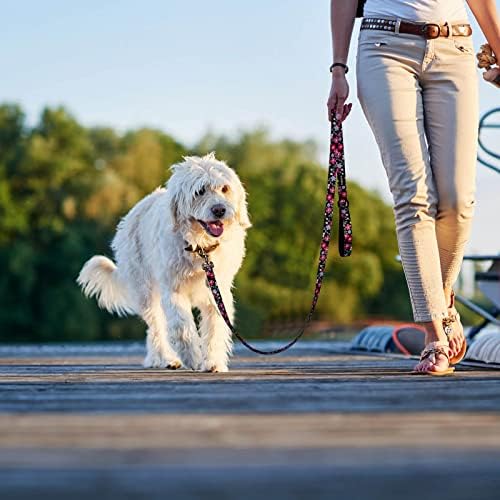 Бакбак куче повод за средни кучиња - удобни рачки со ловење, премија за обука на кучиња од цвеќиња од сончоглед, олово за одење за