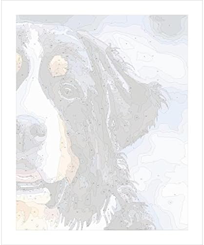 Боја по броеви за возрасни деца Бернез планинско куче животно куче платно акрилик DIY број за сликање комплети wallидни уметнички декор подароци