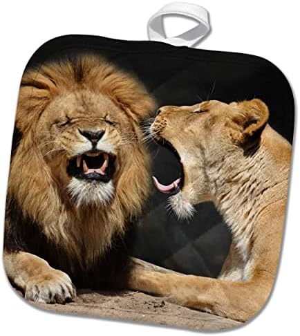 3drose Смешна лавовска двојка со лавица викаше на нејзиниот хумор за животински свет - постери