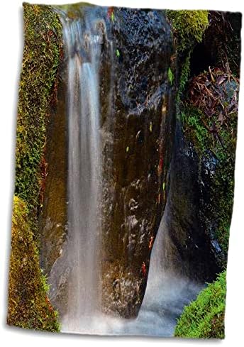 3 -во водопад, јапонска градина Портланд, Портланд, Орегон, САД - крпи