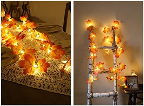 Ед јавор остава жица светлина, LED декоративна жица светлина, 9,8 метри топла лесна јавор arетва vestетва есенска оставете светло за благодарници