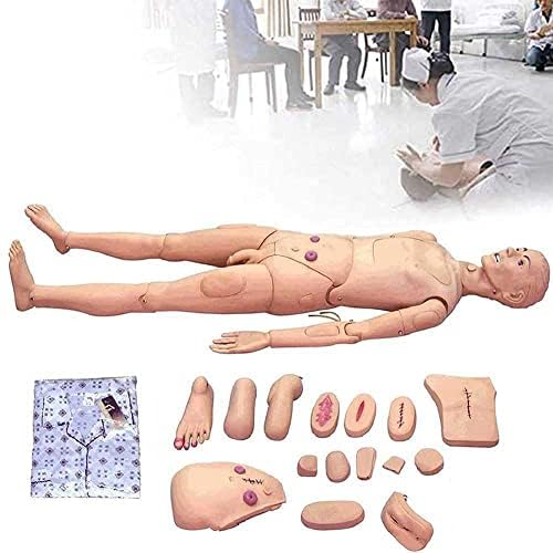 Tuozhe Care Care Manikin 5.57ft животна големина на живот вештини за медицински сестри геријатриски човечки модел целосен тренинг на