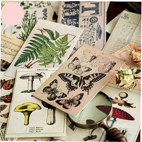 30 парчиња/кутија антички шумски животни растенија примероци разгледница за гроздобер стил за пишување картички за подароци