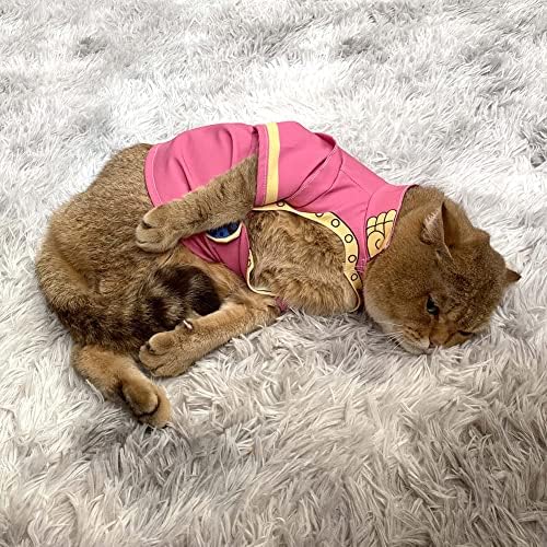 Vyule Giorno Giovanna Pet Costume Anime Jojo Бизарна авантура Cosplay ПЕТ Облека за кутре со мало кучиња со мачки