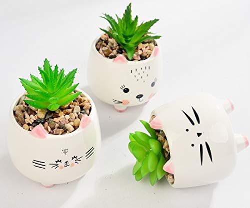 Б септор 3 мали мачки мачки мали вештачки сукуленти, засилени со бели порцелански садови, керамички животни засадувачи Подарок за подароци за