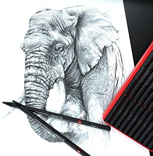 Индра цртање скицирање моливи сет, 31 професионален скицирање и цртање моливчиња за алатки за алатки со графитни моливи, моливи од јаглен,