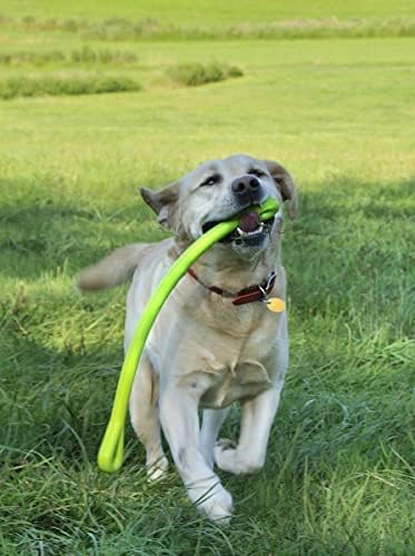 Џерси Куче Копродукции. Совршена Играчка За Влечење - Направена Во САД