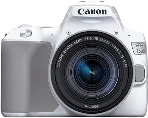 Канон EOS 250D бел пакет на камера DSLR со Canon EF-S 18-55mm STM леќи + 32 GB Sandisk меморија + Camera Case + Digital Flash + додаток пакет