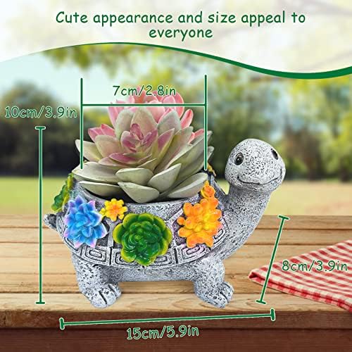 ASDFG растителни садови уметнички желки сукулентни садови за садови со дренажна дупка, садови за украсување на цветна градина, кактус домашна