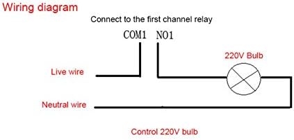 2-Канал Реле Контролер, 2kw 5V Ip Мрежа Реле Модул, Со Случај Мобилен Телефон За Моторни Компјутер Електрична Светлина