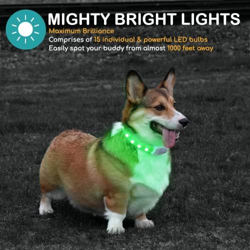 Mochi ® 8 Бои во 1 LED Куче Јака Светлина | Ruffer Осветли Куче Јаки | USB Полнење Сечење Виножито Јака За Безбедност Видливост Во Текот На Ноќта Одење За Мали Средни Големи Куч
