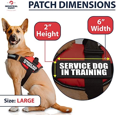Сервисно куче во лепенка за обука со грб и рефлексивни букви за сервисно куче во обука на елеци