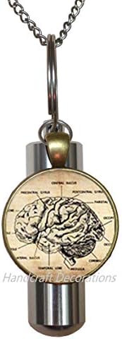 HandcraftDecorations Anatomical Brain Cremation Urn ѓердан, човечка мозочна анатомија урн, невролог подарок кремирање ѓердан, биологија, студентски подарок за медицина, неврологија Urn.F049