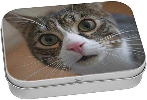 Азиеда 80мм „Мачка лице“ метална кутија за складирање/складирање/кутија за складирање