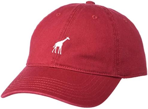 LRG Men's LITRED истражувачки групно лого на тато капа капа