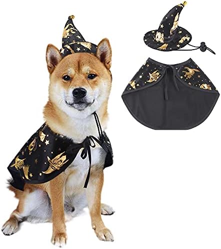 Гарданер миленичиња носии за Ноќта на вештерките Кејп со волшебник капа куче мачка за Ноќта на вештерките