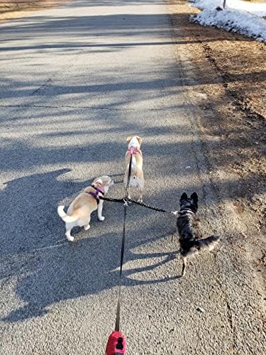 3 начини на кучиња за поводник за кучиња тешка должност Не повлечете повеќекратно двојно затегнување бесплатно трио најлон банџи -кабел