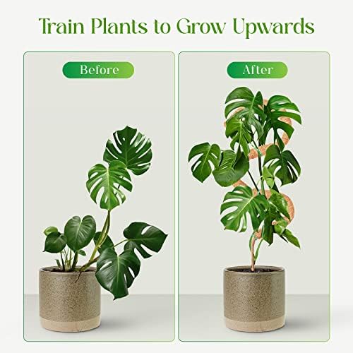 Пол Пизол Мос за растенија Monstera, поддршка на растителни стапчиња, растителни влогови за растение во саксија, 25 '' Coco Coic