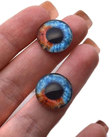 Хетерохромија со двојна боја инспирирани стаклени очи - сини и кафеави димензии Кабохони за приврзоци што прават жица завиткани накит занаетчиска таксидермија ил?