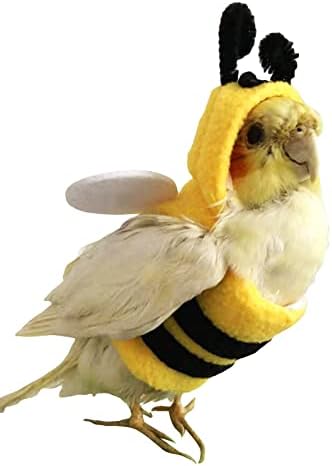 Qwinee Cartoon Bee Design Bird Costume Bird Bird Bird Bird Witking Out-Up Party Party Party Decorations Облека за африкански сиви, пагарати,