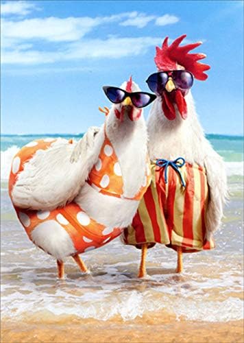 Аванти, Пилешка Двојка На Плажа