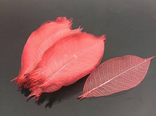 Црвен скелет остава 5 инчи природна боја цвет што прави природни гумени лисја