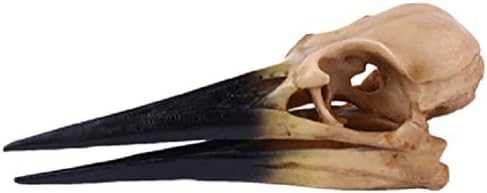 Vorcool Decoraciones para salas de casa череп смола имитација sinosauropteryx коскена скелет аквариум риба резервоар череп декор дома