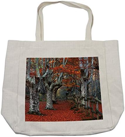 Торба за шопинг во сезони во Амбесон, сонувачки затворен бука шума со есенски лисја мајка земја природни чуда тема, еколошка
