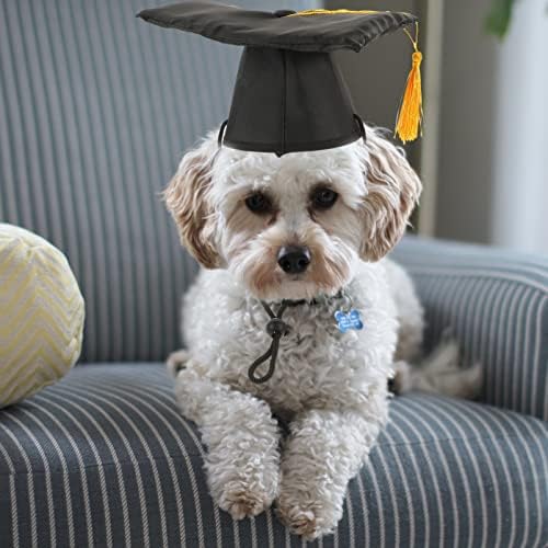 АБУФАН 1 Комплет Капачиња За Дипломирање Миленичиња Капи За Дипломирање Црно Куче Со Жолта Ресел Куче Лигавче 2023 Дипломирање На Кучиња