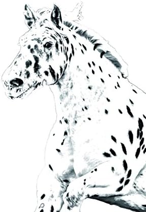 Уметност Куче Оод. Норикер, Овален Надгробен Споменик Од Керамичка Плочка со Слика На Коњ