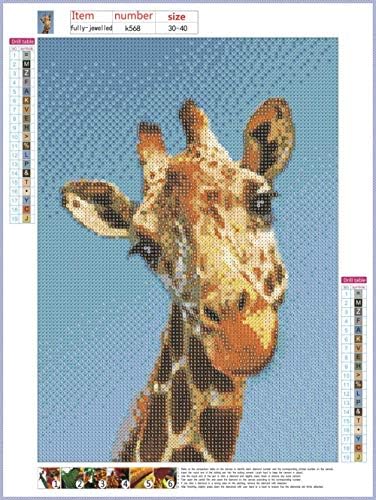 DCIDBEI 5D комплети за везови со дијаманти за возрасни деца DIY целосен дијамантски уметнички комплети жирафа дијамантски сликарство според