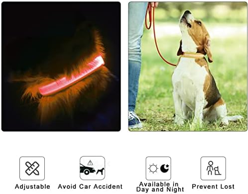 Прекрасна домашна јака од кучиња, LED сјај јака со USB -полнење со светло отпорна на вода - светла и висока видливост осветлена сјај јака за домашно милениче ноќ.