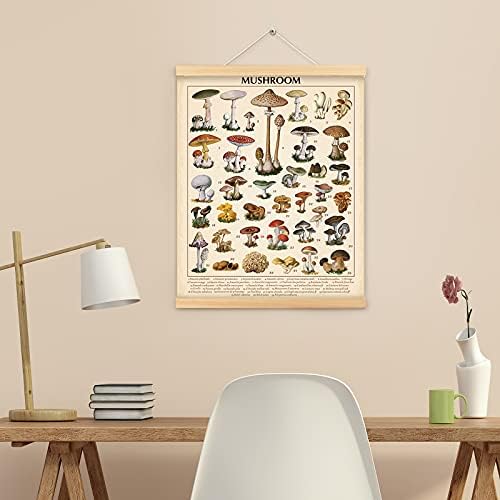 Гроздобер постери за печурки габа за печатење wallидна уметност отпечатоци рустикална печурка wallид виси илустративен референтен табела