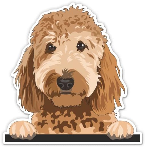 Налепница Златна Doodle - налепница за лаптоп 3 - водоотпорен винил за автомобил, телефон, шише со вода - Деклара за кучиња