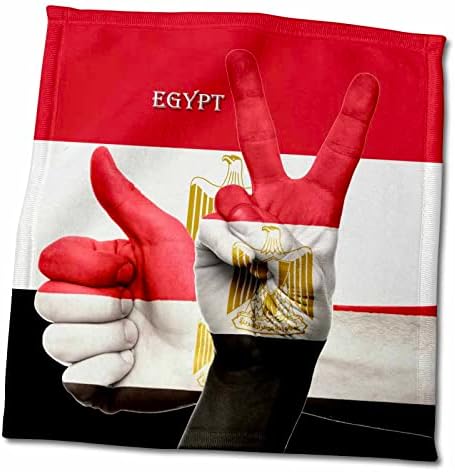 3drose знаме на Египет на рачна гордост и позадина - крпи