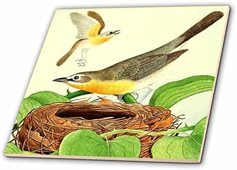 3дроза Гроздобер Птица Уметност Жолто-Гради Разговор Птици Гнездо Илустрација Печатење-Плочки