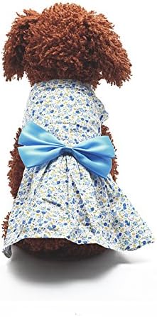 Ново пролетно лето домашно милениче дама кучиња фустан цветно здолниште мало куче принцеза лак фустан