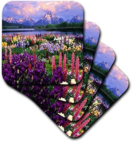 3dRose CST_53318_1 Вајоминг Диви Цвеќиња-Меки Подлоги, Сет од 4